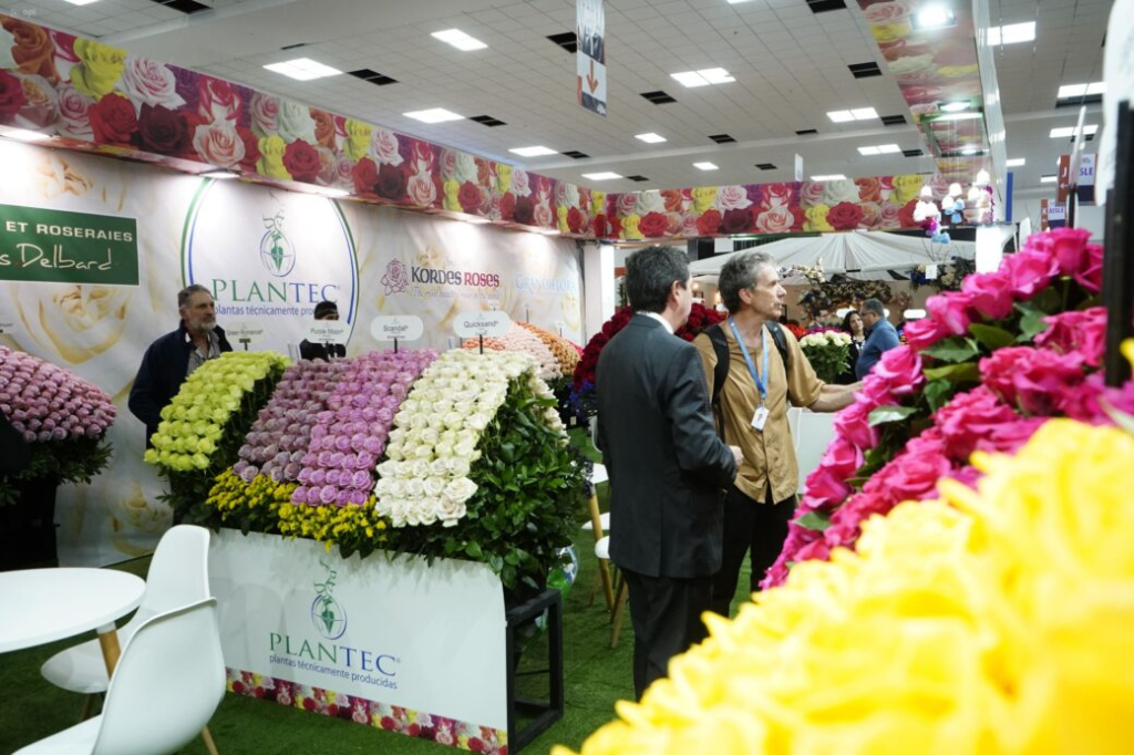 flores-exportacion-ecuador-economia1-e1746453691426