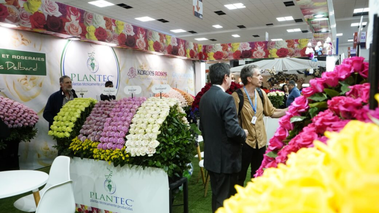 flores-exportacion-ecuador-economia1-e1746453691426