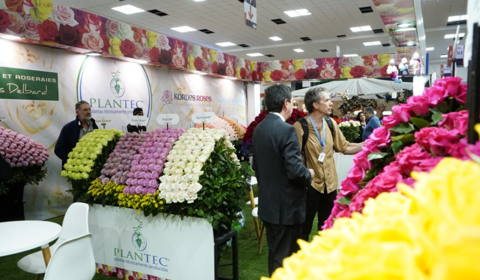 flores-exportacion-ecuador-economia1-e1746453691426