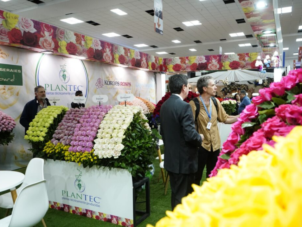 flores-exportacion-ecuador-economia1-e1746453691426