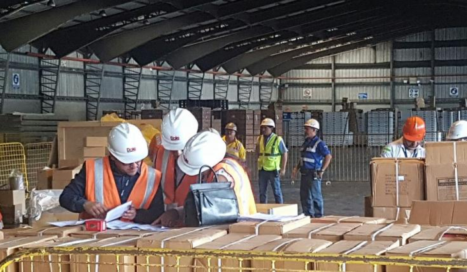 DESPACHO GARANTIZADO.jpg